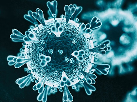 Coronavirus