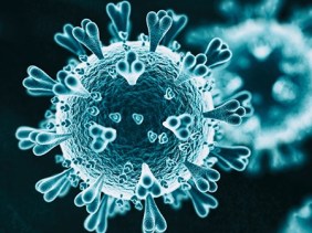 Coronavirus